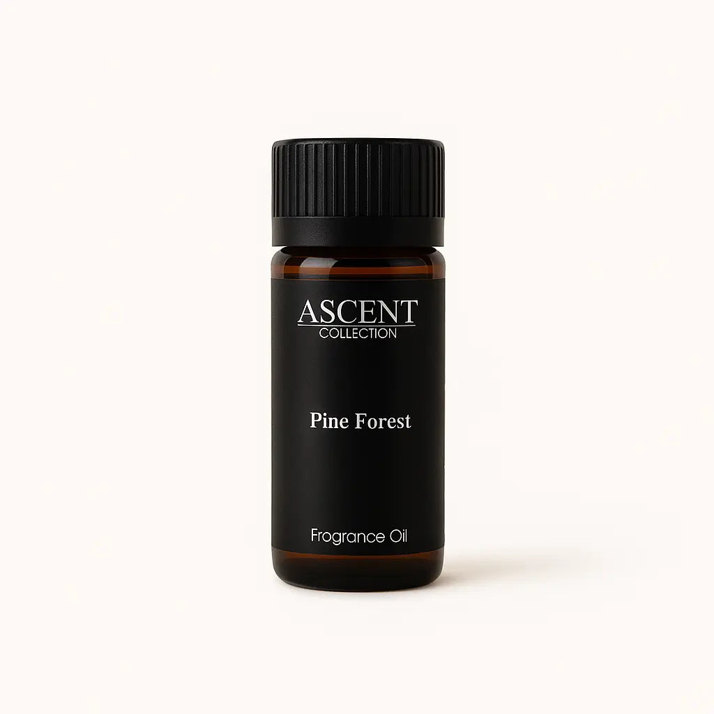 Pine Forest fragrance oil | Ascent Collection