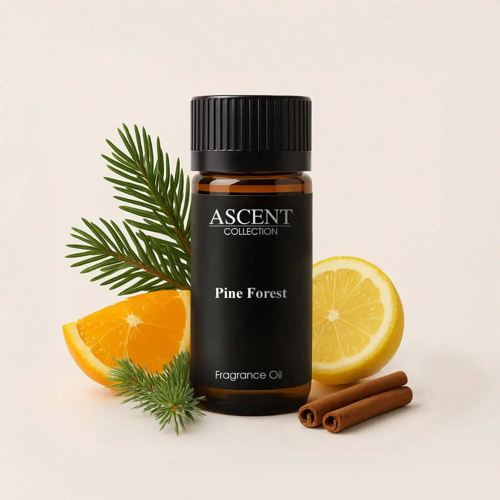 Pine Forest fragrance oil | Ascent Collection