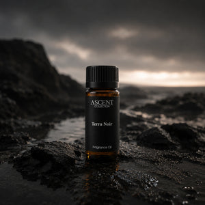 Terra Noir: Inspired by Hermes Terre d'Hermes