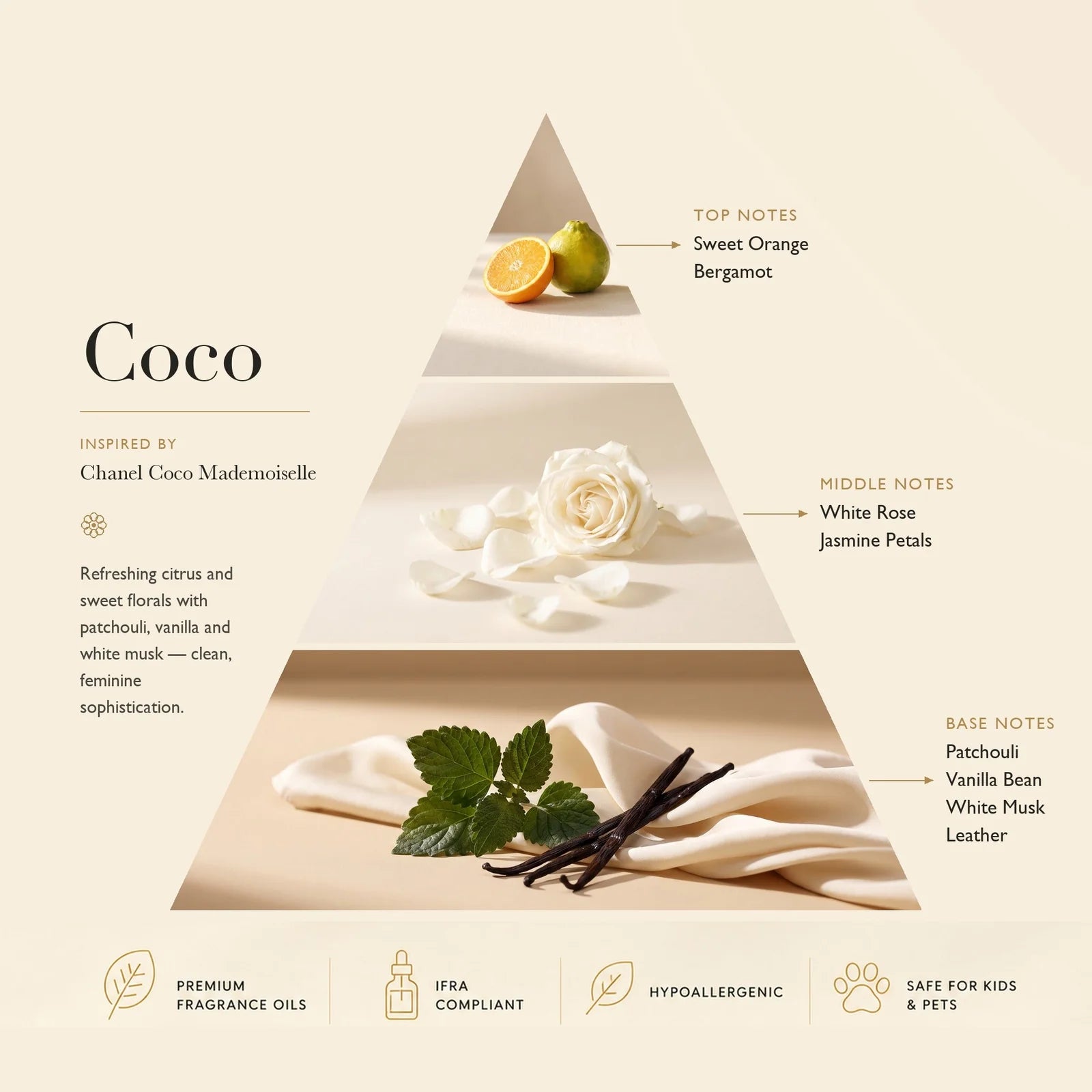 Coco Inspired by Channel Coco Mademoiselle ASCENT COLLECTION