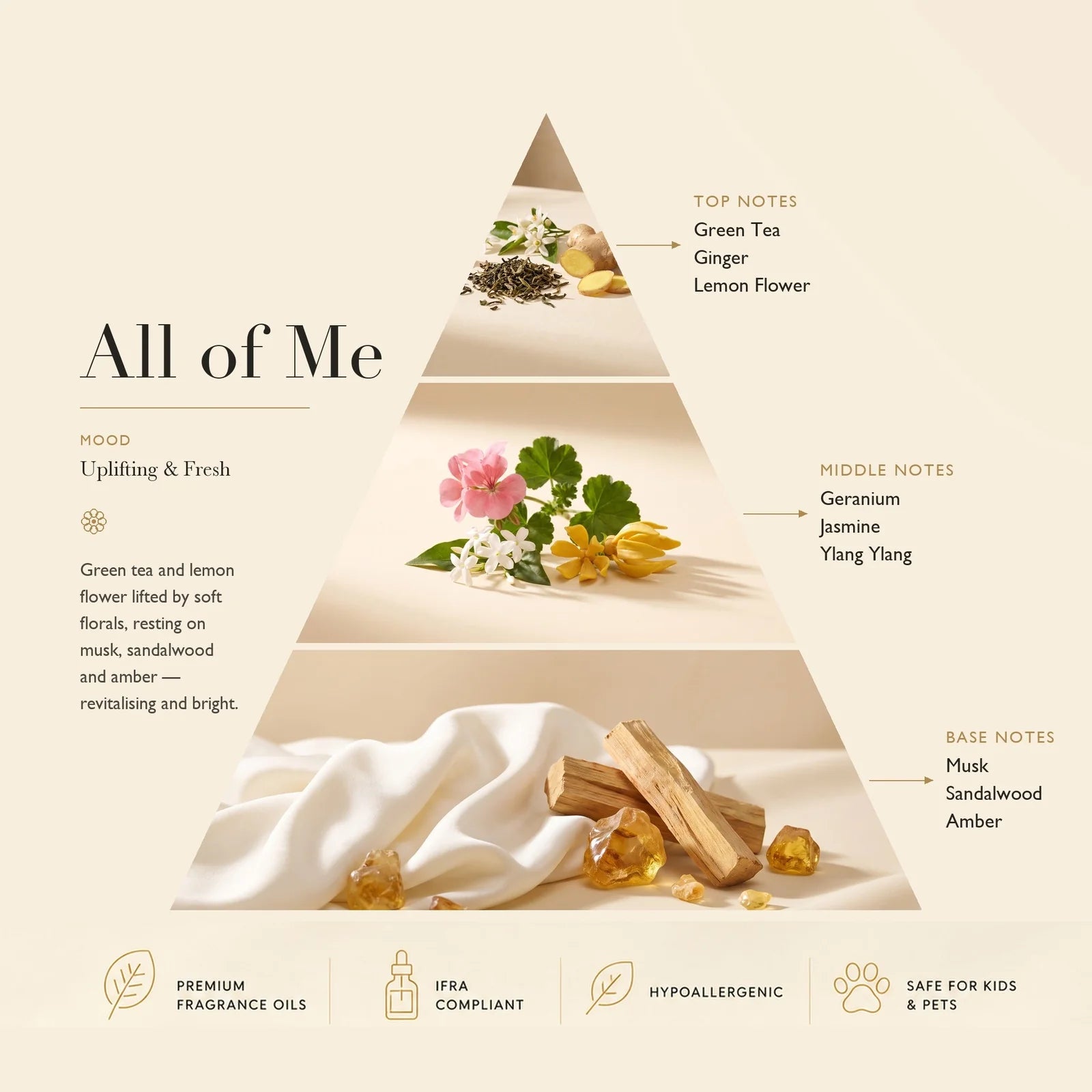 Diffuser Oil All of Me
