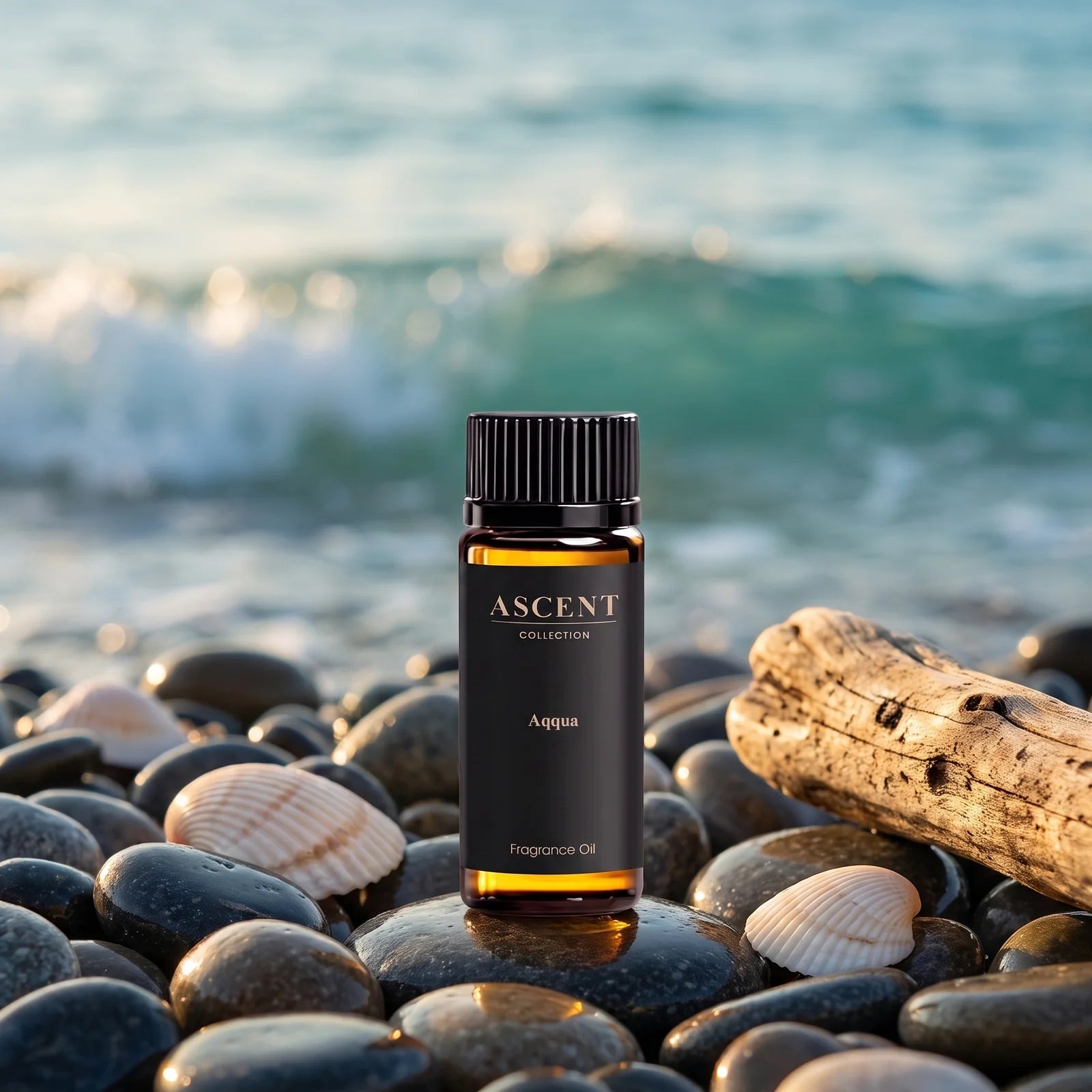 Aqqua diffuser oil on a sunlit coastal shoreline — fresh citrus, herb and woods fragrance | Ascent Collection