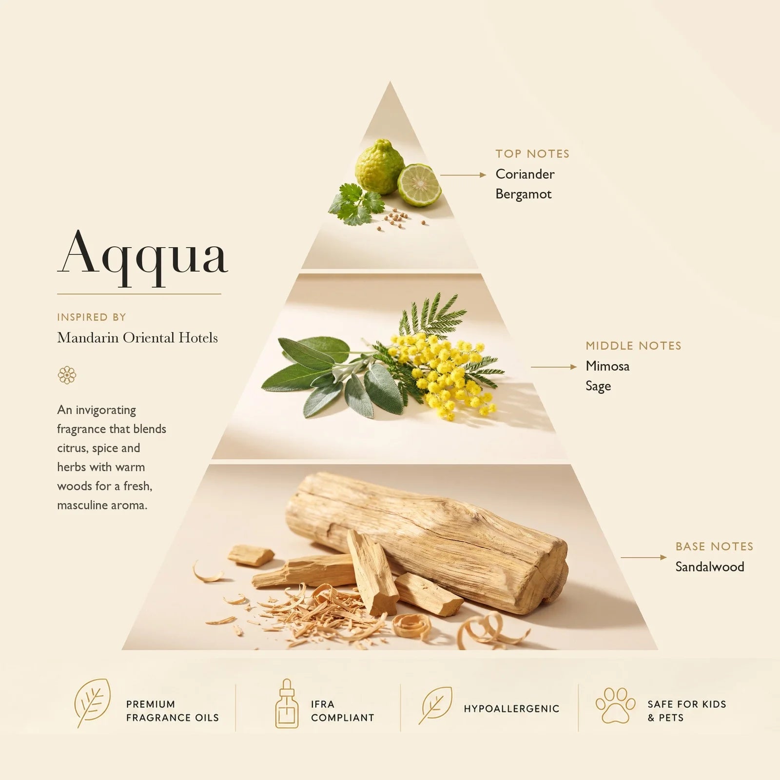 Aqqua diffuser oil on a sunlit coastal shoreline — fresh citrus, herb and woods fragrance | Ascent Collection