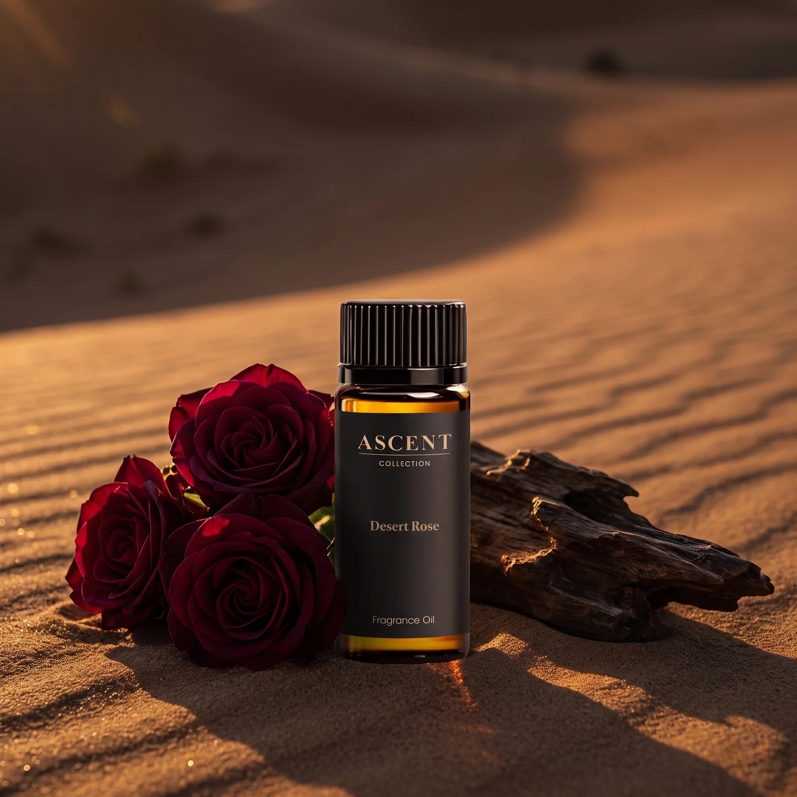 Desert Rose diffuser oil on golden desert sand with deep damask roses and oud wood — dark rose and oud fragrance | Ascent Collection