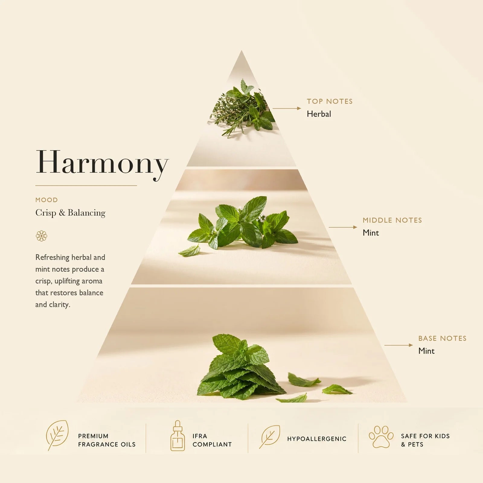 Essential Oil Harmony