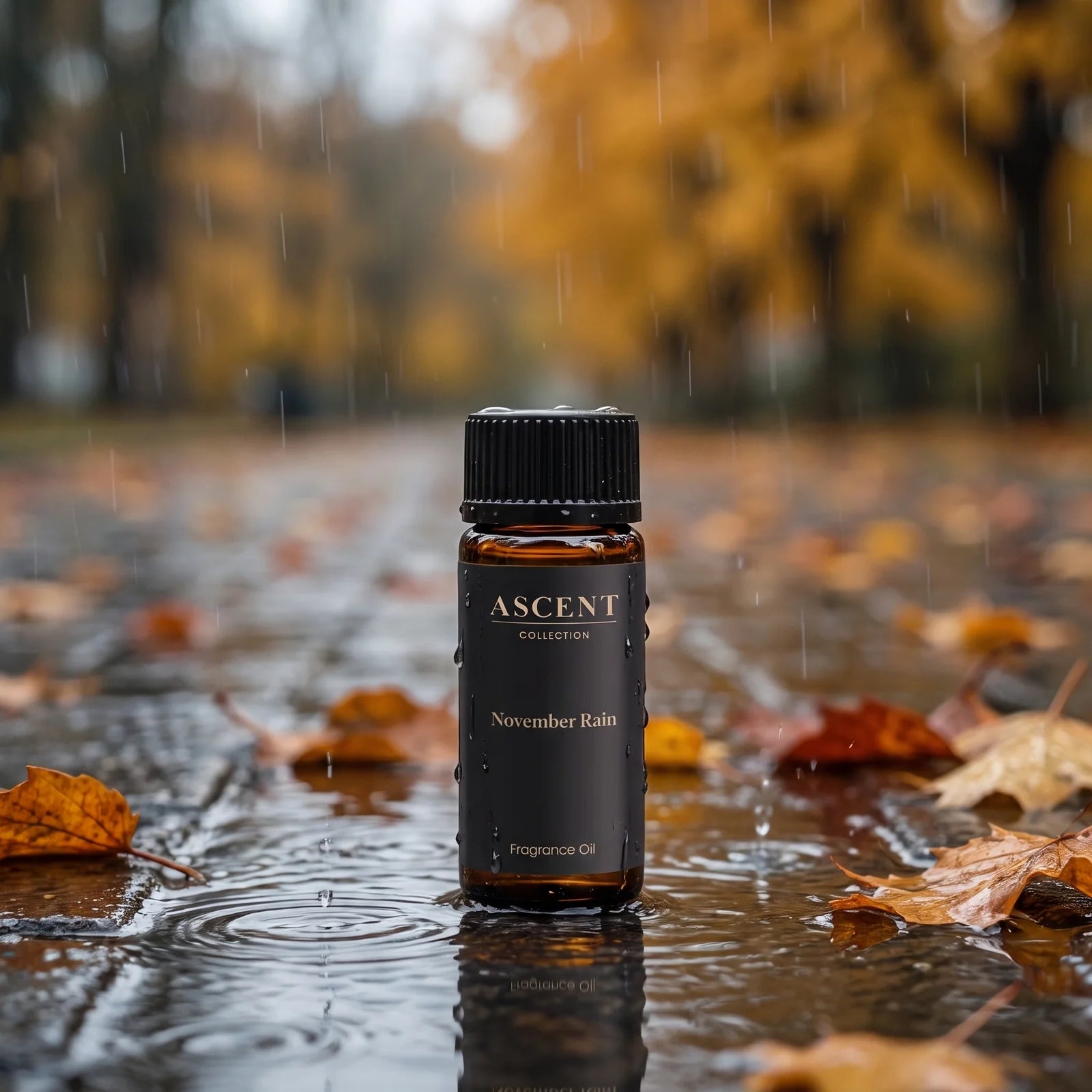 November Rain diffuser oil in an autumn rainstorm with fallen leaves — bright citrus, jasmine and cedarwood fragrance | Ascent Collection
