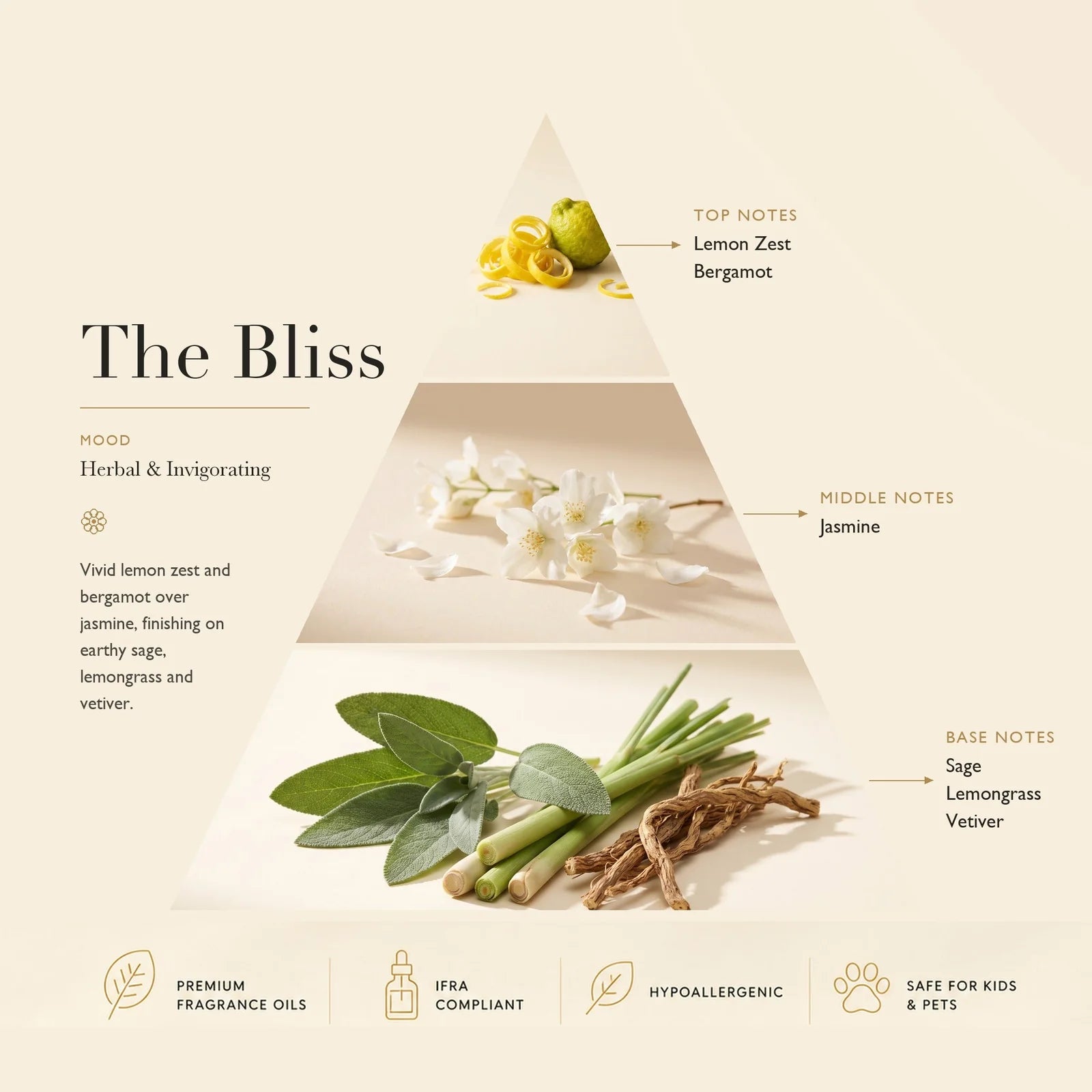 Diffuser Oil The Bliss
