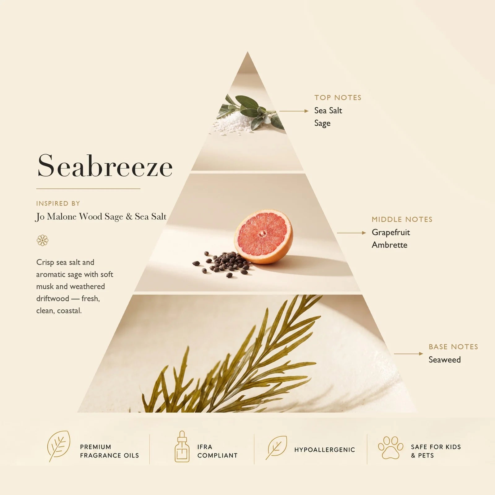 Seabreeze Inspired by Jo Malone Wood, Sage & Sea Salt ASCENT COLLECTION