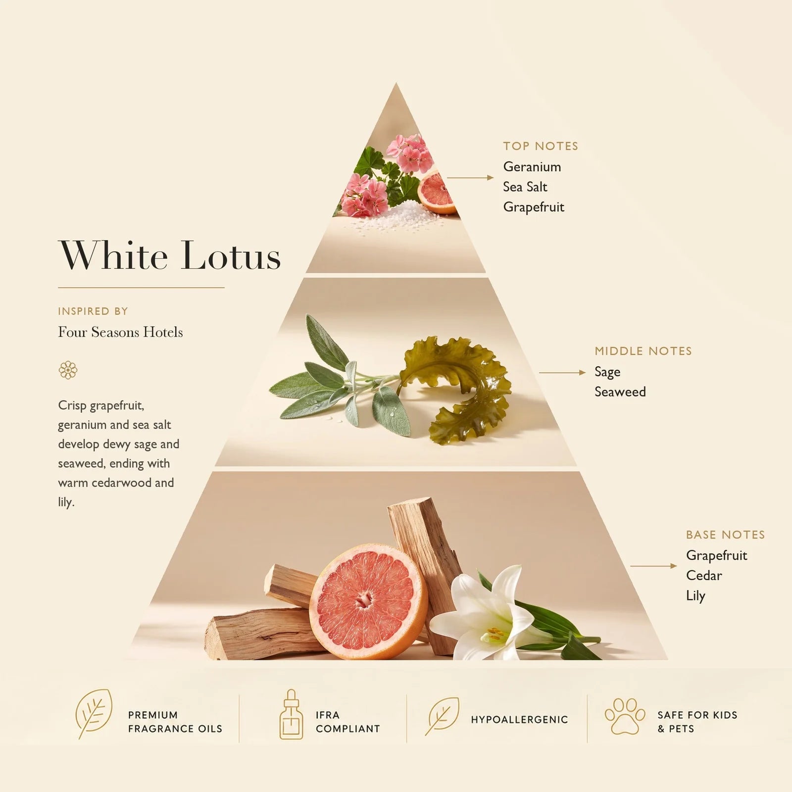 White Lotus Inspired by: Four Seasons Hotel ASCENT COLLECTION